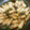 hukimari's cooksnap of when they made 節約☆もやしとカイワレの豚肉巻き.