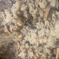 roseclover's cooksnap of when they made 豚ひき肉で土鍋炊き込みご飯.