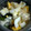 まな姫's cooksnap of when they made ほうれん草とゆで卵のサラダ.