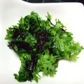 ごーあい's cooksnap of when they made わさび菜とひじきのサラダ～ナムル風～.