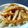 おらんでう～たん's cooksnap of when they made さきいかもどき★にんにくバター焼き.