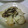 トクライ's cooksnap of when they made 大根の皮☆簡単あっさり漬け.