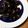 aaaaaaaai's cooksnap of when they made 圧力鍋で超簡単 黒豆煮.