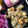 イシス女神's cooksnap of when they made おせち♪洋風たたきごぼう。.