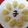 MH1111's cooksnap of when they made お月見にも☆簡単お芋のうさぎクッキー。.