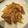 クックHAUSDN☆'s cooksnap of when they made 豚のしょうが焼き.