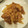 クックHAUSDN☆'s cooksnap of when they made 豚のしょうが焼き.