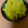 クック52PL19☆'s cooksnap of when they made 簡単おせち-2【栗きんとん】.