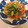 ☆ペコ助☆'s cooksnap of when they made ソーセージとほうれん草とトマトの炒め物.