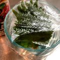 ※ぴーまん's cooksnap of when they made 大葉の保存方法.