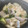 ＫＡＥＤＥレシピ's cooksnap of when they made タラと長ネギの簡単豆腐鍋.