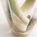 クック41OUTP☆'s cooksnap of when they made 水菜・セロリ等の保存方法♪.