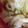 ma___111's cooksnap of when they made ちくわとレタスのサラダ.