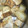 アロハあっきー's cooksnap of when they made 圧力鍋★簡単★大根とがんもの煮物♪.