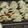 ゆけり３兄弟's cooksnap of when they made 居酒屋風☆エビニラ餃子.