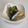 クックVESREV☆'s cooksnap of when they made ちゃちゃっとさんまの煮付け.