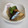 クックVESREV☆'s cooksnap of when they made ちゃちゃっとさんまの煮付け.