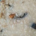 ふぁんたにゃん's cooksnap of when they made 炊き込みご飯の残りで簡単雑炊.