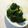 3life's cooksnap of when they made ブロッコリーのおかか和え.