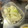 はらぺこまさる's cooksnap of when they made 玉ねぎの冷凍保存.