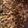 クックI1FJ57☆'s cooksnap of when they made クリスマスミネストローネ♪.