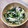らささやん's cooksnap of when they made レンジで簡単！春菊とエノキ茸のナムル.