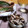 ruris7's cooksnap of when they made 焼ききのこのピクルス【作り置き】.