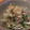 ｙｏｕ５'s cooksnap of when they made みず菜のツナマヨ和え.
