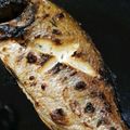 こんこんこんのん's cooksnap of when they made タイ(マダイ)の塩焼き.