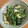 ししぽん's cooksnap of when they made 大根葉とおあげの煮浸し.