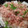uralin's cooksnap of when they made 大根もち♪簡単もちアレンジ切り餅で.