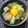 nosso's cooksnap of when they made 卵かけまいたけバター醤油ごはん.