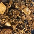 カナダで日本食's cooksnap of when they made 簡単！みんなが作る麻婆豆腐！麻婆茄子！.