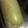 お願いひつじ's cooksnap of when they made 大根一本使い切る 保存方法.