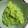 クックGB6431☆'s cooksnap of when they made 大きな・ずんだもち♪ずんだあん簡単切り餅.