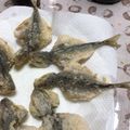 たべたべこ's cooksnap of when they made 骨までさっくり小あじのから揚げ.