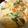 ねこはがき's cooksnap of when they made 簡単！長芋グラタン.