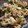 あゆたっくん's cooksnap of when they made エビシューマイとれんこんの青のり炒め.