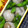 nosso's cooksnap of when they made ☆簡単☆舞茸の炊き込みご飯.