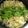 クックUSUN6I☆'s cooksnap of when they made もつ鍋風！無限ごま油鍋.