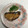 クックZH7VQJ☆'s cooksnap of when they made 簡単♪ゆず香るぶりの照り焼き.