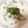 クック9B233N☆'s cooksnap of when they made お手軽　キノコいっぱいクリームスープ.