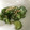 ノビル's cooksnap of when they made 簡単♪白だしだけできゅうりの浅漬け.
