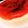 ぽんcooking☆'s cooksnap of when they made ☆簡単☆しっとりスフレチーズケーキ.