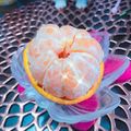 ☆なあなクック☆'s cooksnap of when they made 既にバラけているポンカン。.