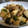クック8J0LFQ☆'s cooksnap of when they made 中華風のタケノコとピーマンの炒め物.