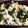 ななげんき's cooksnap of when they made しめじとほうれん草のいり卵。醤油バターで.