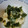 ラベンダー's cooksnap of when they made ☆たまごのおかゆ☆.