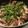 ame-ikuru's cooksnap of when they made たこのアヒージョ.