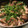 ame-ikuru's cooksnap of when they made たこのアヒージョ.